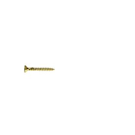 Champion Tri-Thread Plus Woodscrew 5.0 x 40mm (Tub 200)